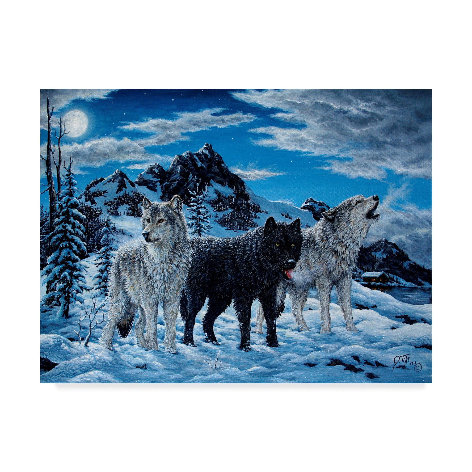 Night Howl Wolves in Snow Framed Canvas Art