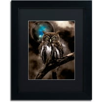 Trademark Fine Art "Night Owl" Canvas Art by Color Bakery Black Matte, Black Frame
