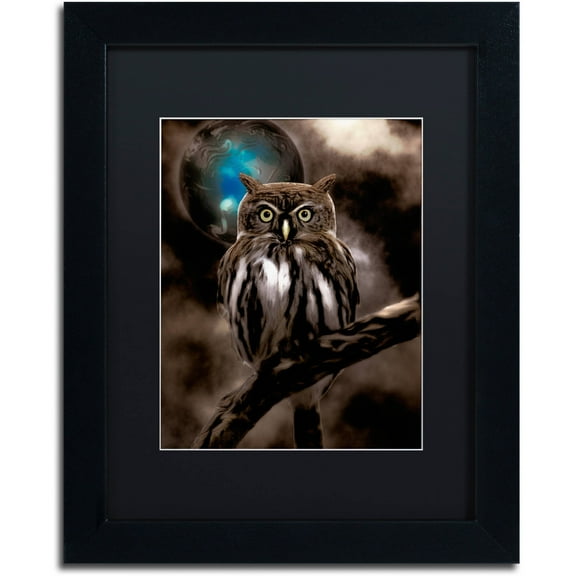Trademark Fine Art "Night Owl" Canvas Art by Color Bakery Black Matte, Black Frame