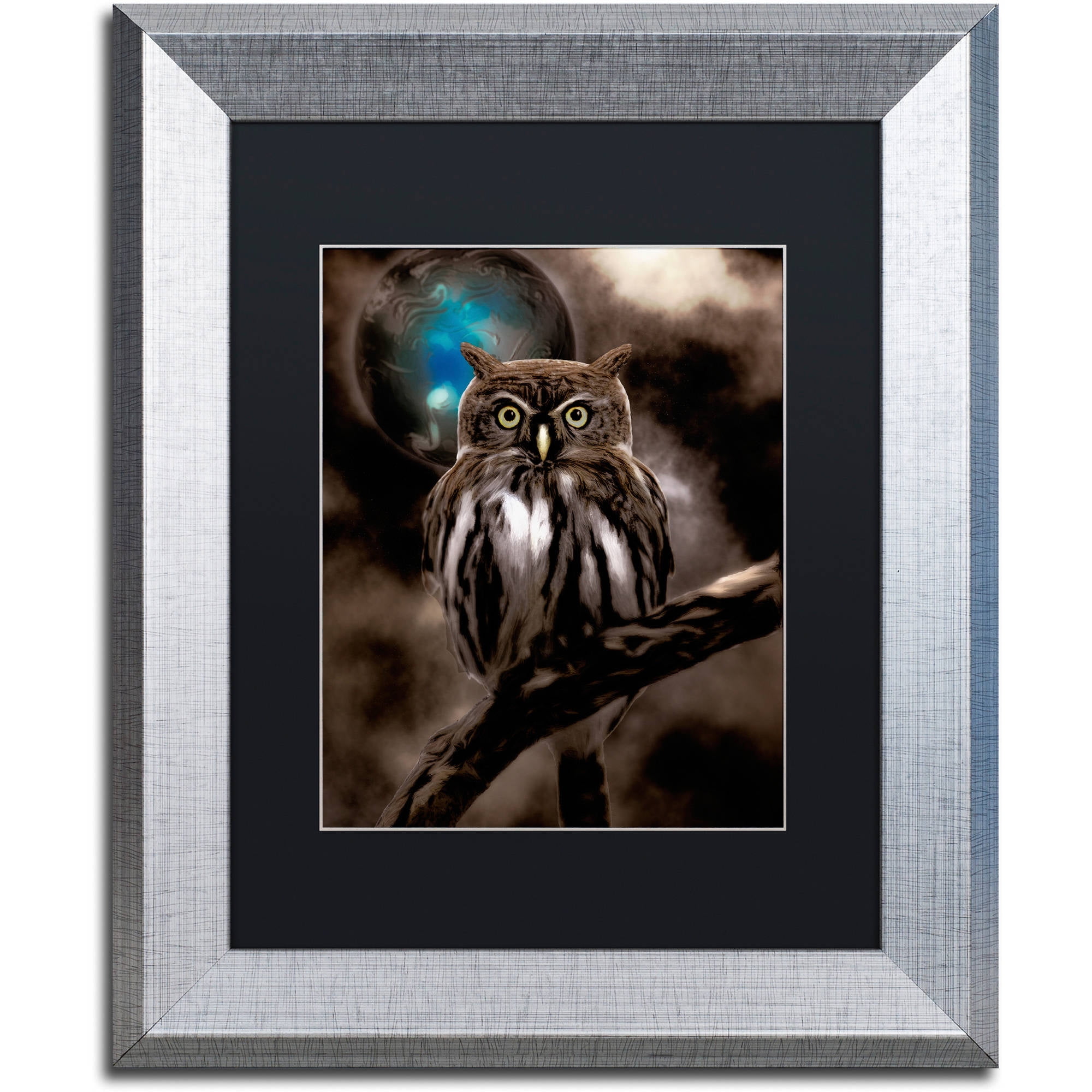 Trademark Fine Art "Night Owl" Canvas Art by Color Bakery Black Matte, Silver Frame