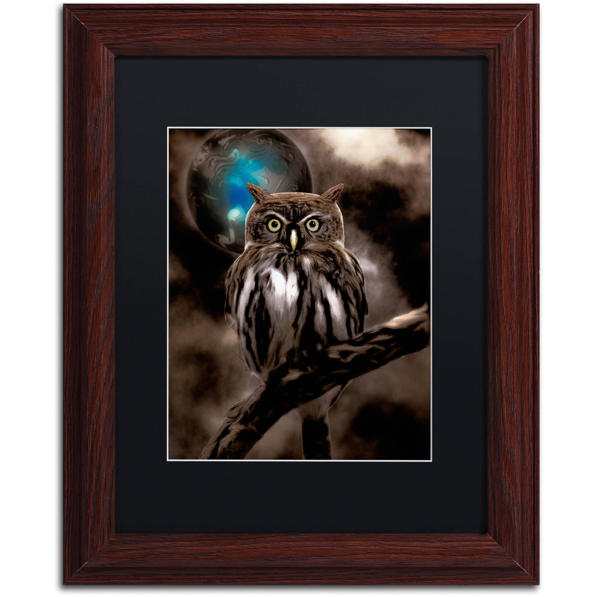 Trademark Fine Art "Night Owl" Canvas Art by Color Bakery Black Matte, Wood Frame