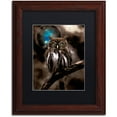 thumbnail image 1 of Trademark Fine Art "Night Owl" Canvas Art by Color Bakery Black Matte, Wood Frame, 1 of 1