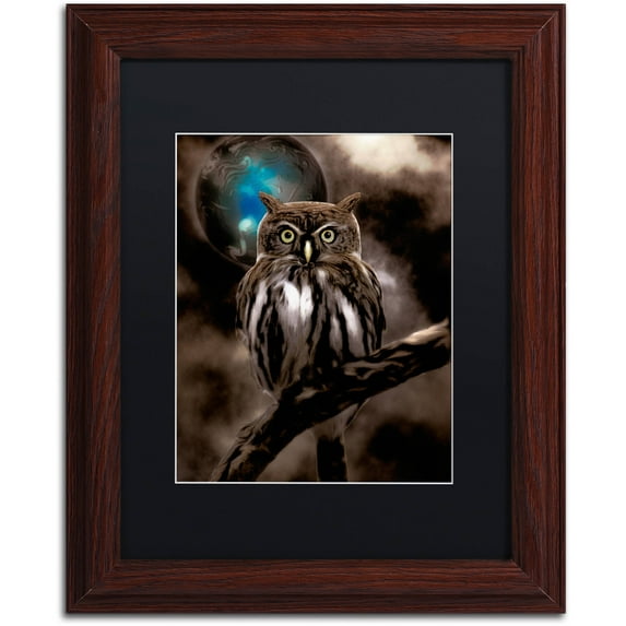 Trademark Fine Art "Night Owl" Canvas Art by Color Bakery Black Matte, Wood Frame