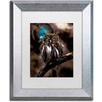 Trademark Fine Art "Night Owl" Canvas Art by Color Bakery White Matte, Silver Frame
