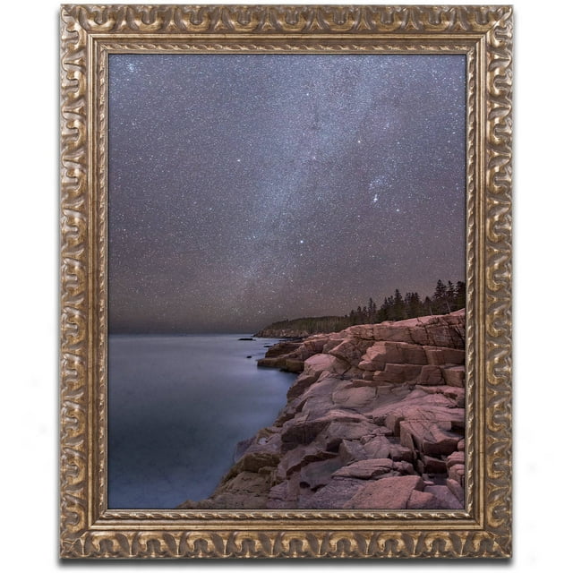 Trademark Fine Art "Night on Granite" Canvas Art by Michael Blanchette Photography Gold Ornate Frame