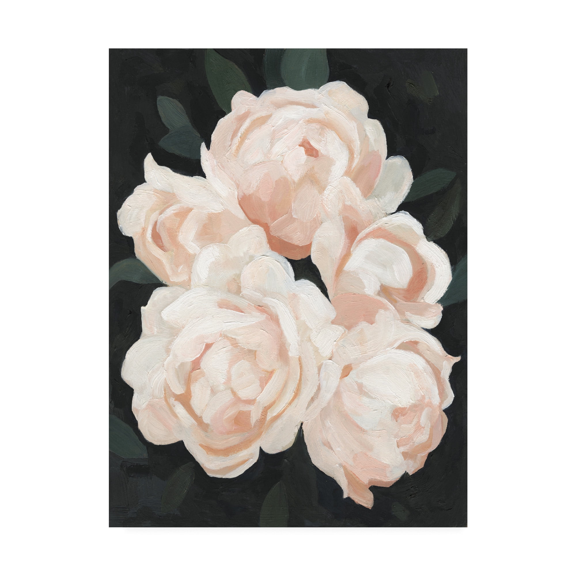 Trademark Fine Art 'Nighttime Flora II' Canvas Art by Emma Scarvey