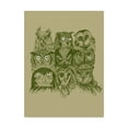 thumbnail image 1 of Trademark Fine Art 'Nine Owls' Canvas Art by Rachel Caldwell, 1 of 3