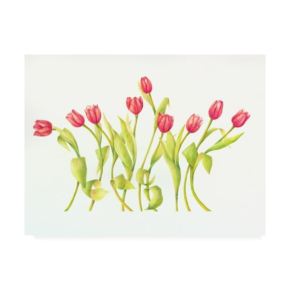 Trademark Fine Art 'Nine Tulips Twirling' Canvas Art by Deborah Kopka