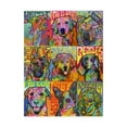 thumbnail image 1 of Trademark Fine Art 'Nine Up of Dogs' Canvas Art by Dean Russo, 1 of 3