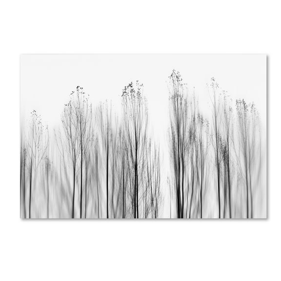 Trademark Fine Art 'No Grounds' Canvas Art by Paulo Abrantes