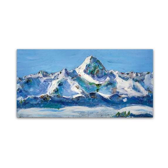 Trademark Fine Art 'No Limits' Canvas Art by Kellie Day