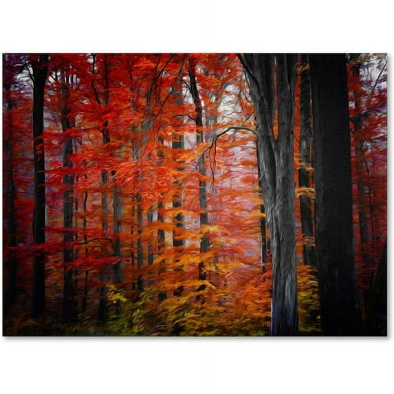 Trademark Fine Art "No Particular Title" Canvas Art by Philippe Sainte-Laudy
