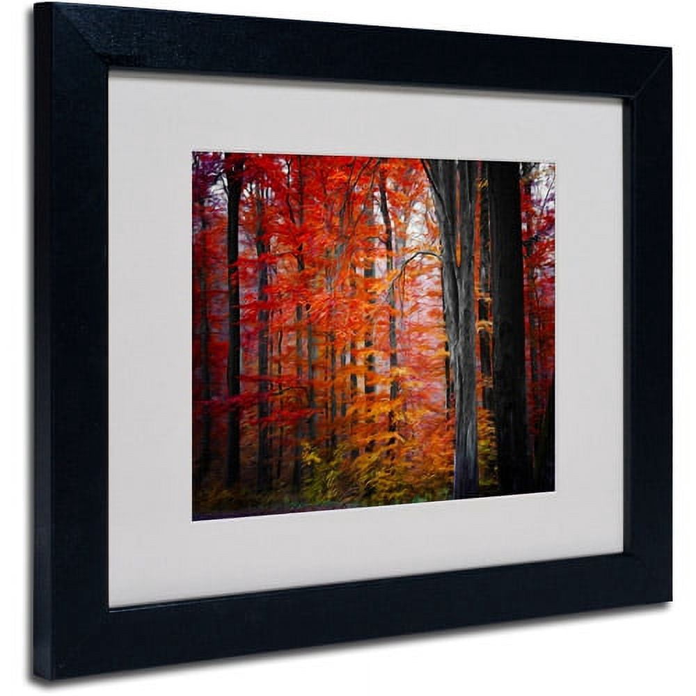 Trademark Fine Art "No Title" Canvas Art by Philippe Sainte-Laudy, Black Frame