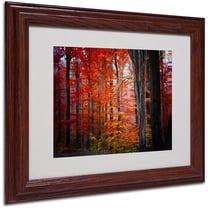 Trademark Fine Art "No Title" Canvas Art by Philippe Sainte-Laudy, Wood Frame