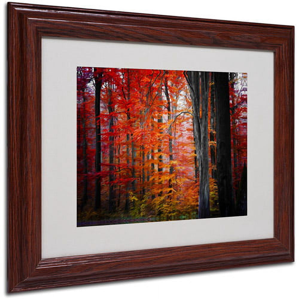 Trademark Fine Art "No Title" Canvas Art by Philippe Sainte-Laudy, Wood Frame