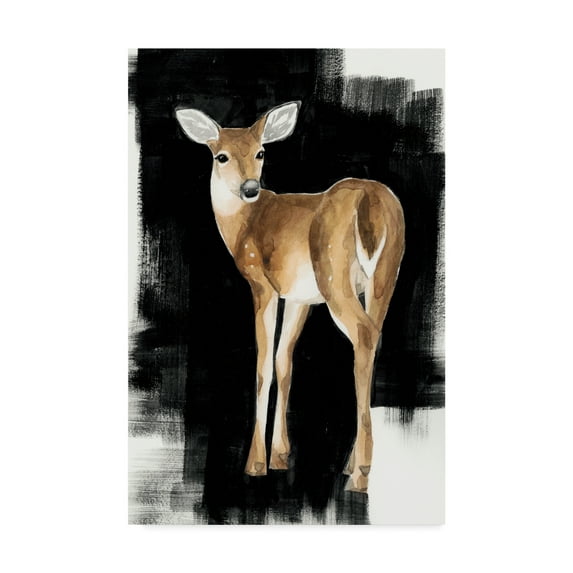 Trademark Fine Art 'Nocturnal I' Canvas Art by Grace Popp