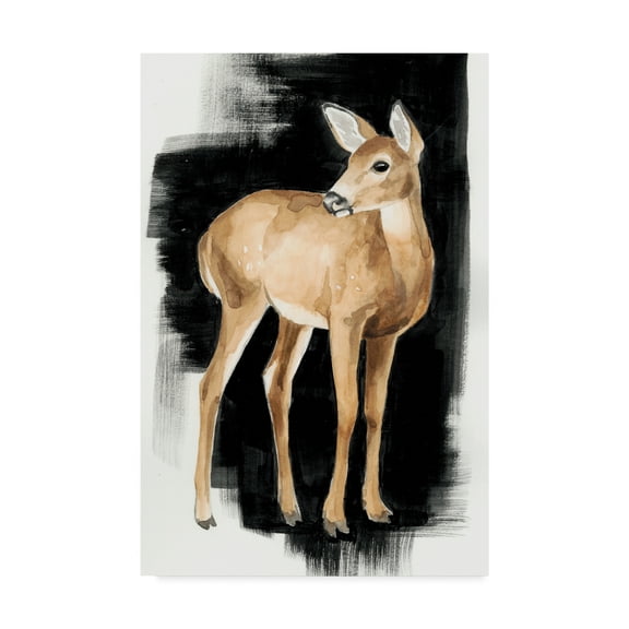 Trademark Fine Art 'Nocturnal II' Canvas Art by Grace Popp