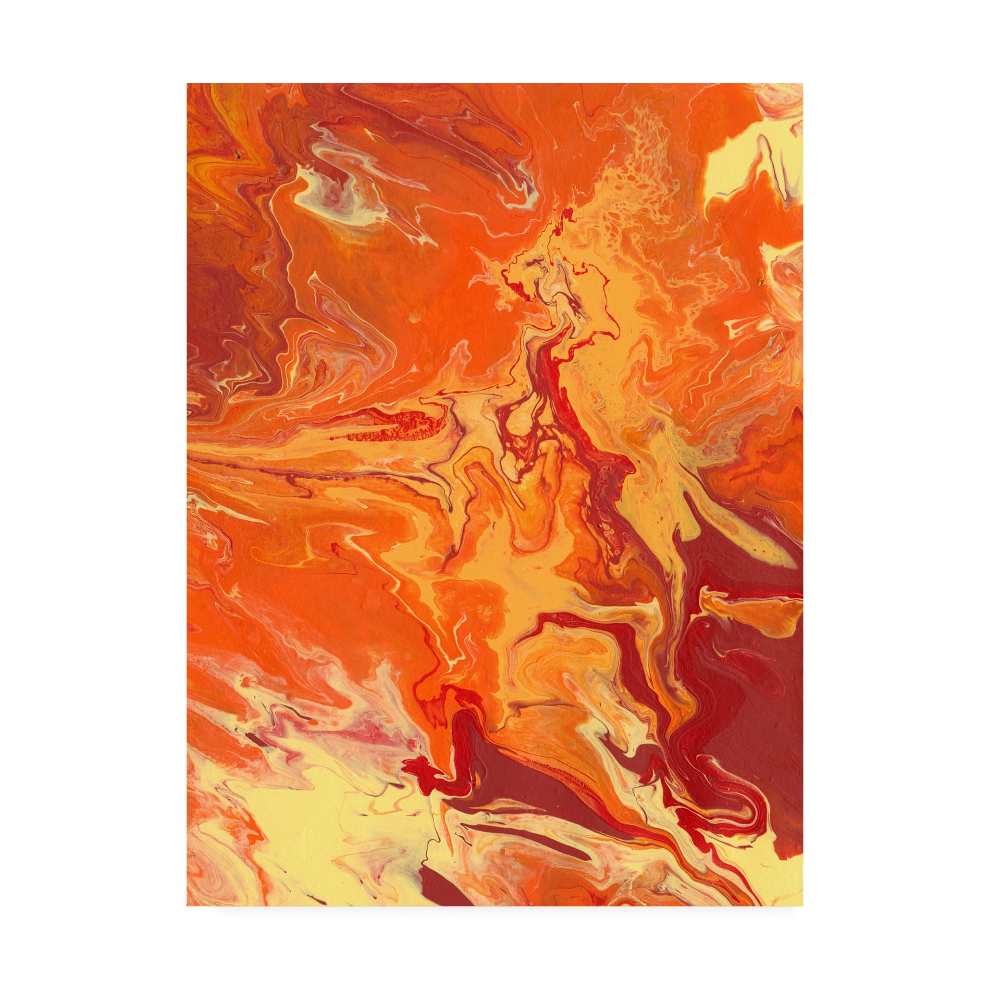 Trademark Fine Art 'Nomadic Blaze III' Canvas Art by Regina Moore