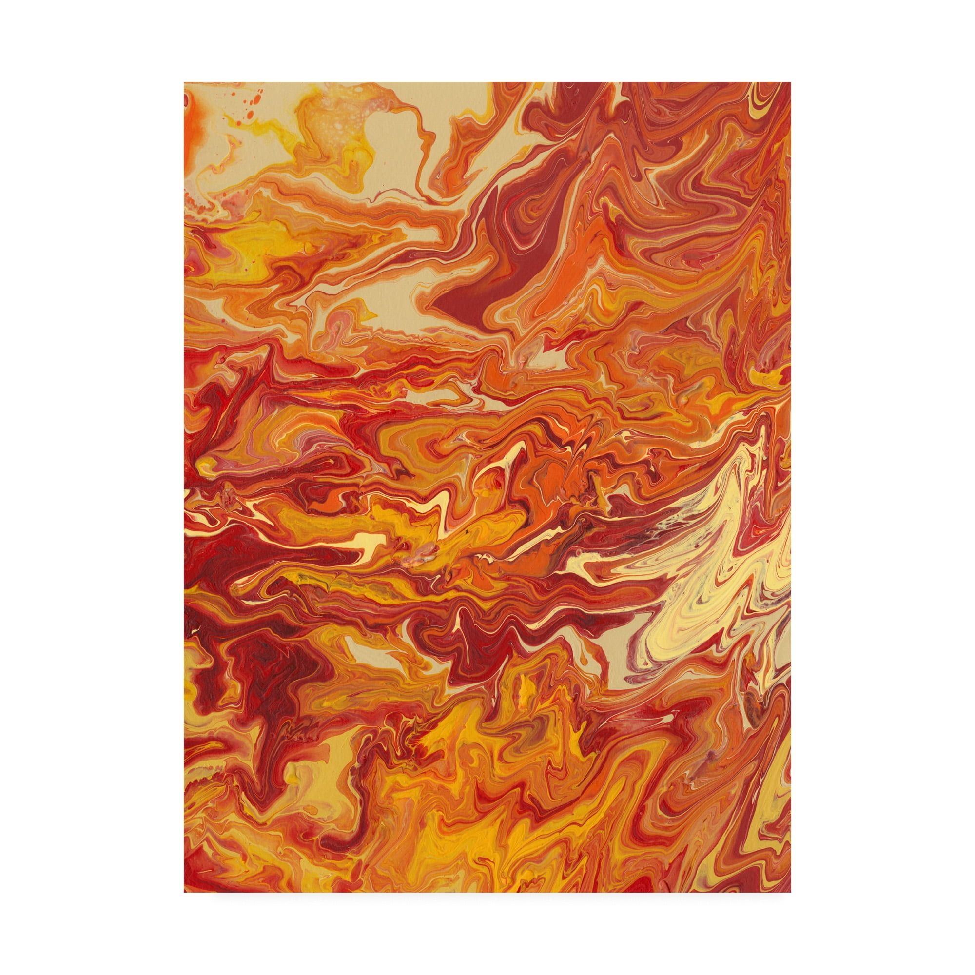Trademark Fine Art 'Nomadic Blaze IV' Canvas Art by Regina Moore