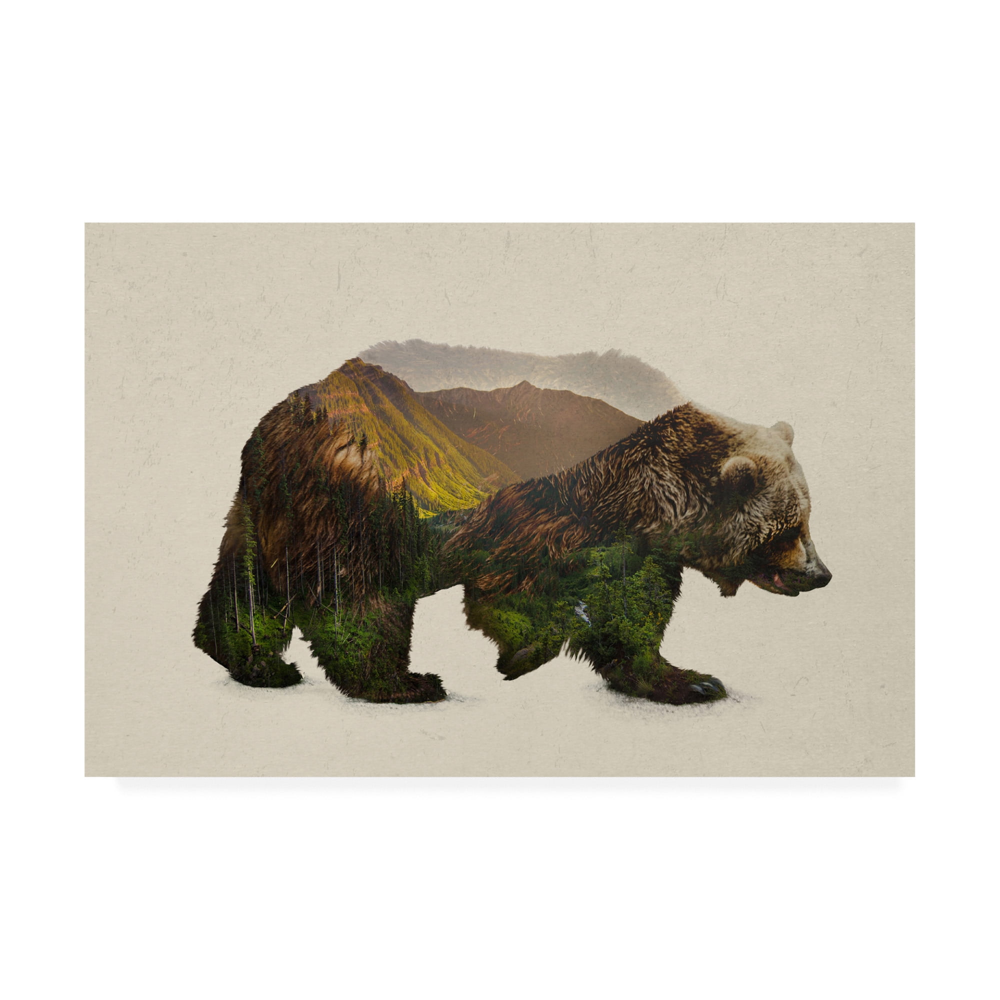 Trademark Fine Art 'North American Brown Bear' Canvas Art by Davies Babies