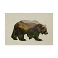 thumbnail image 1 of Trademark Fine Art 'North American Brown Bear' Canvas Art by Davies Babies, 1 of 3