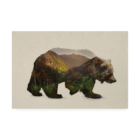 Trademark Fine Art 'North American Brown Bear' Canvas Art by Davies Babies