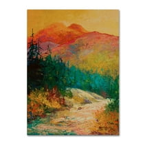 Trademark Fine Art 'Northern Essence Ak' Canvas Art by Marion Rose