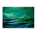 thumbnail image 1 of Trademark Fine Art 'Northern Lights' Canvas Art by Willy Marthinussen, 1 of 3