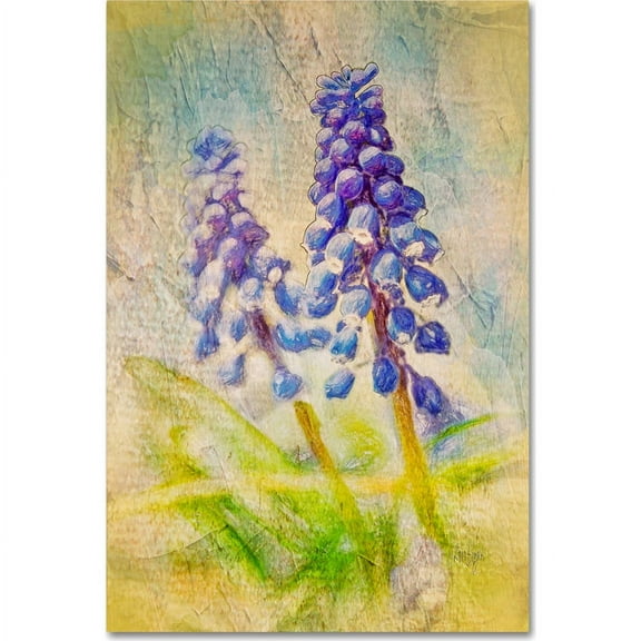 Trademark Fine Art "Nostalgic Grape Hyacinth" Canvas Art by Lois Bryan