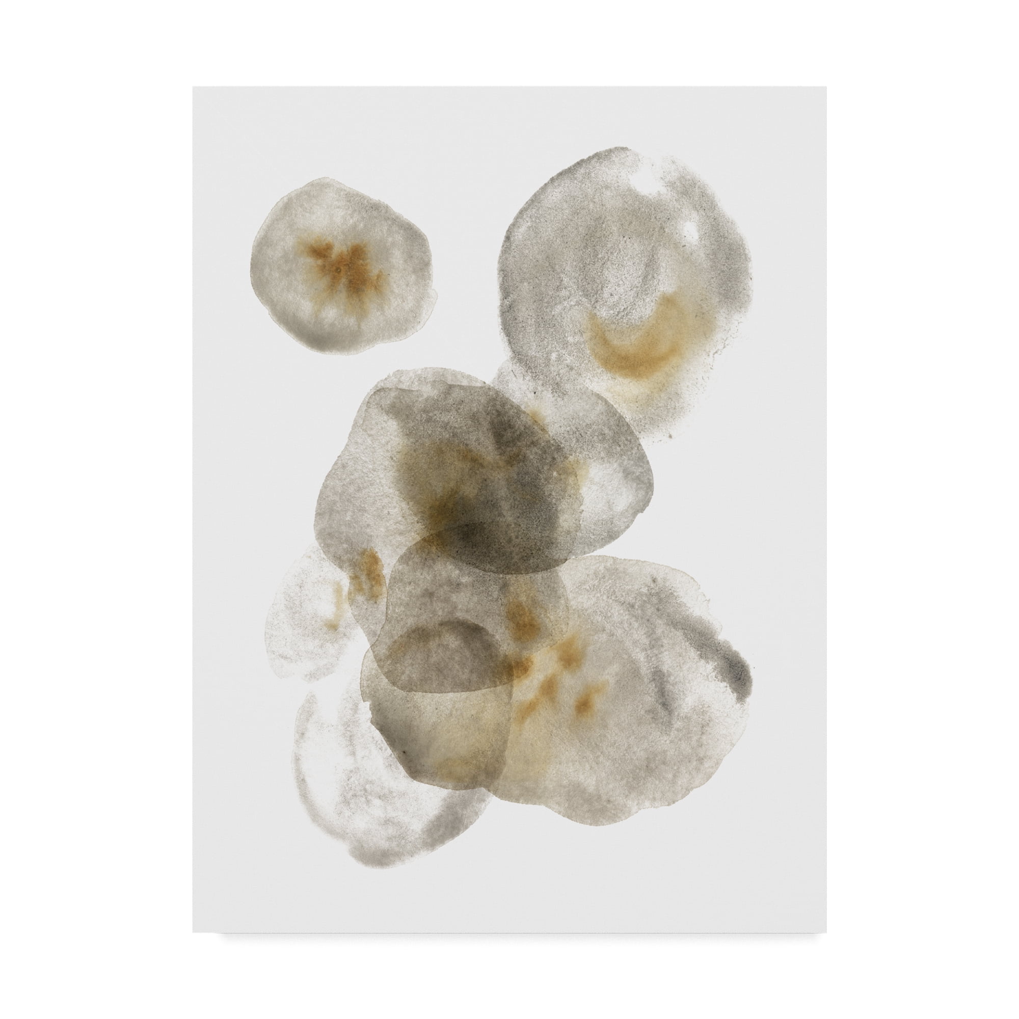 Trademark Fine Art 'Nostalgic II' Canvas Art by Melissa Wang