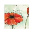 thumbnail image 1 of Trademark Fine Art 'Not a California Poppy III' Canvas Art by Chris Paschke, 1 of 3