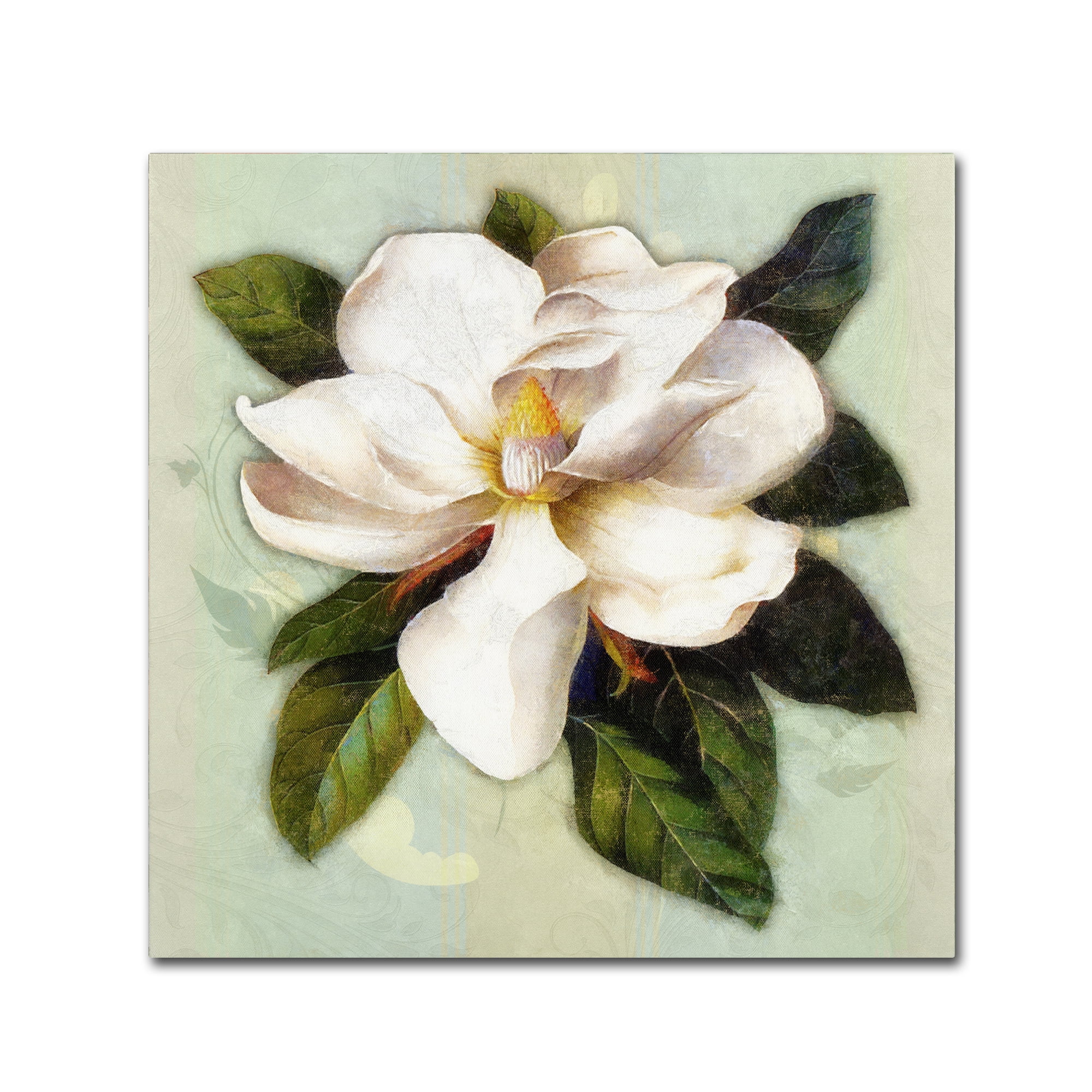 Trademark Fine Art 'Nouveau Botanica' Canvas Art by Tina Lavoie