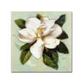 thumbnail image 1 of Trademark Fine Art 'Nouveau Botanica' Canvas Art by Tina Lavoie, 1 of 3