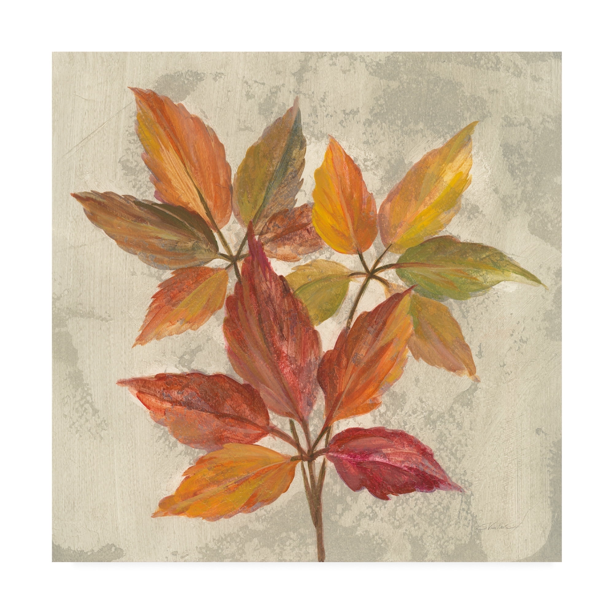 Trademark Fine Art 'November Leaves I' Canvas Art by Silvia Vassileva