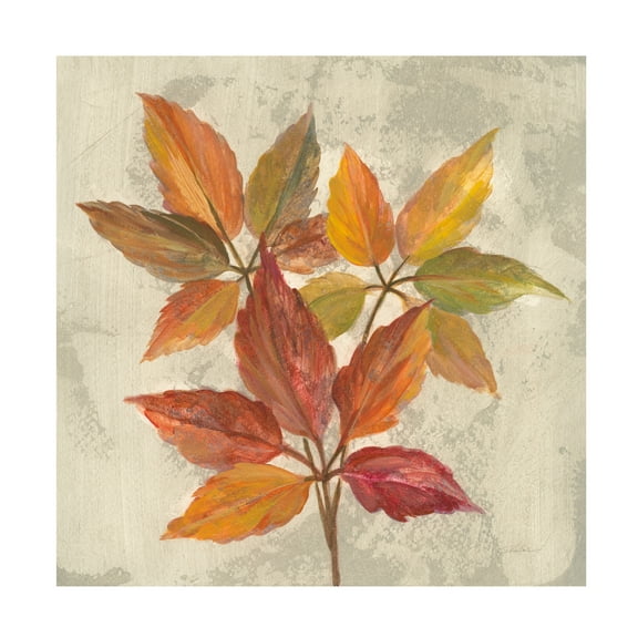 Trademark Fine Art 'November Leaves I' Canvas Art by Silvia Vassileva