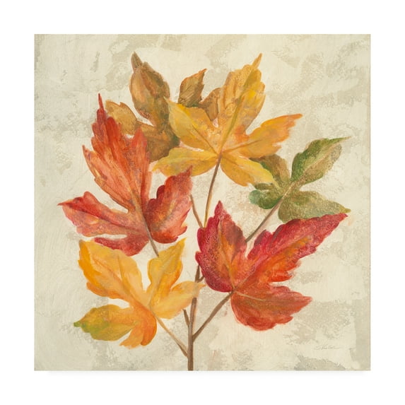 Trademark Fine Art 'November Leaves IV' Canvas Art by Silvia Vassileva