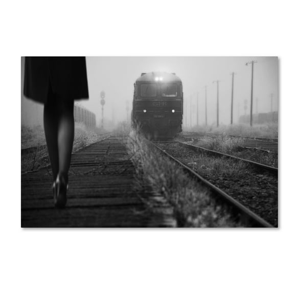 Trademark Fine Art 'November Passengers' Canvas Art by Nicoleta Gabor