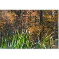 thumbnail image 1 of Trademark Fine Art "November's Colors at Pond's Edge" Canvas Art by Kurt Shaffer, 1 of 2