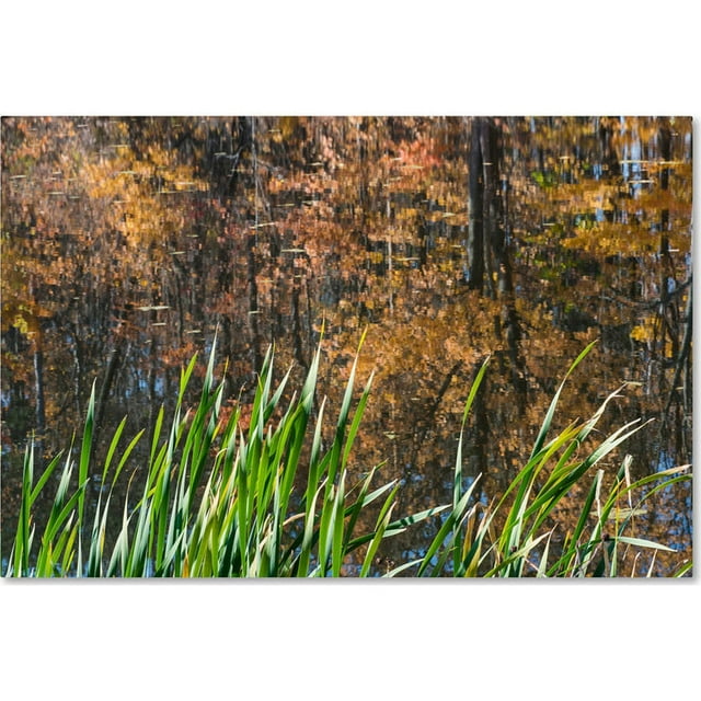 Trademark Fine Art "November's Colors at Pond's Edge" Canvas Art by Kurt Shaffer