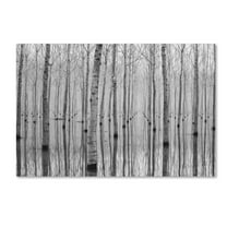 Trademark Fine Art 'Novembre 2014' Canvas Art by Aglioni Simone