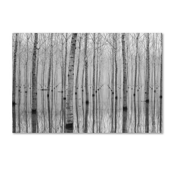 Trademark Fine Art 'Novembre 2014' Canvas Art by Aglioni Simone