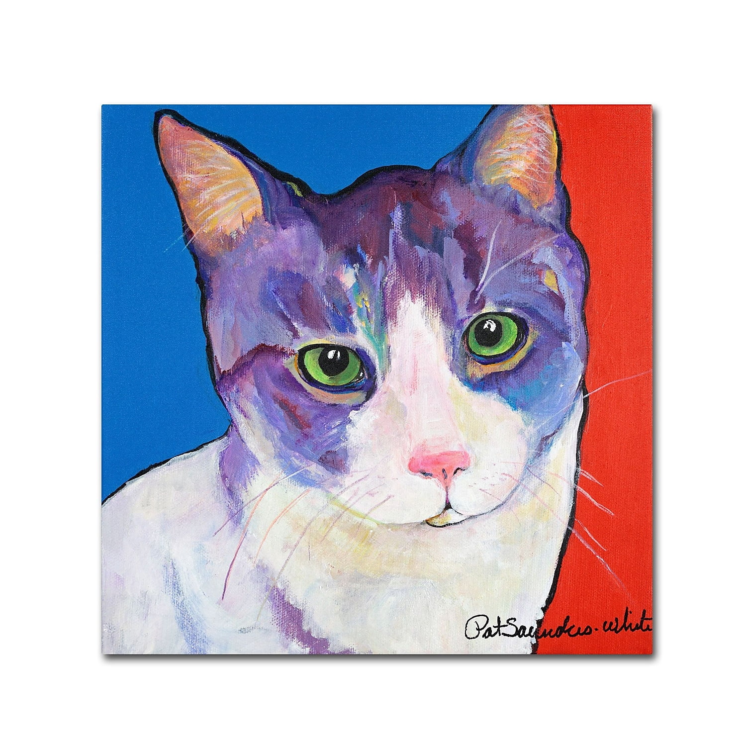 Trademark Fine Art "Nugget" Canvas Art by Pat Saunders-White