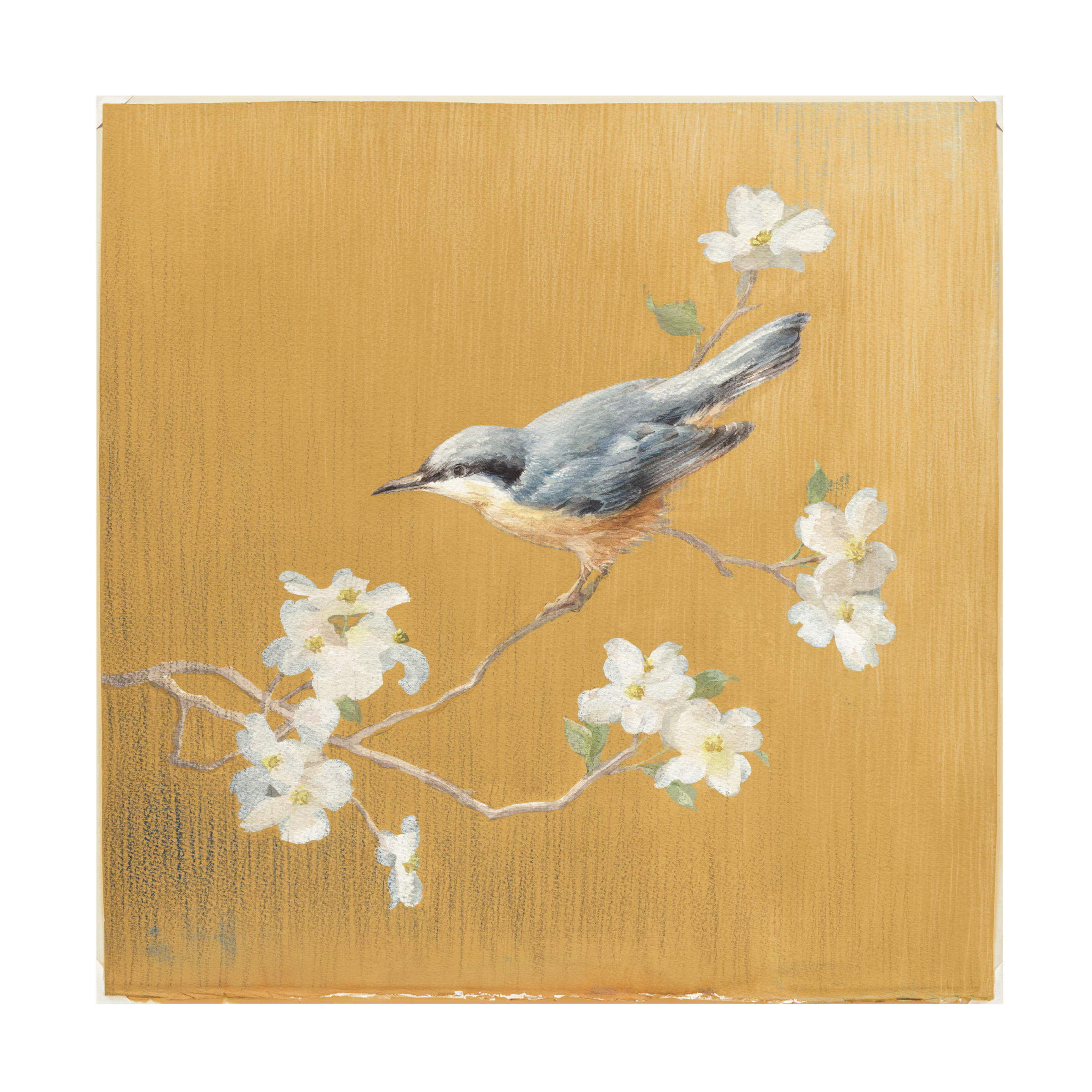 Trademark Fine Art 'Nuthatch on Gold' Canvas Art by Danhui Nai