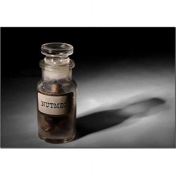 Trademark Fine Art "Nutmeg" Canvas Art by Tammy Davison