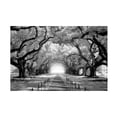 thumbnail image 1 of Trademark Fine Art Mike Jones Photo Oak Alley inf CHECK Canvas Wall Art - 12x19, 1 of 5