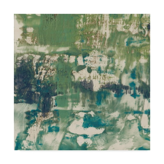 Trademark Fine Art 'Obscured Horizon I' Canvas Art by Jennifer Goldberger