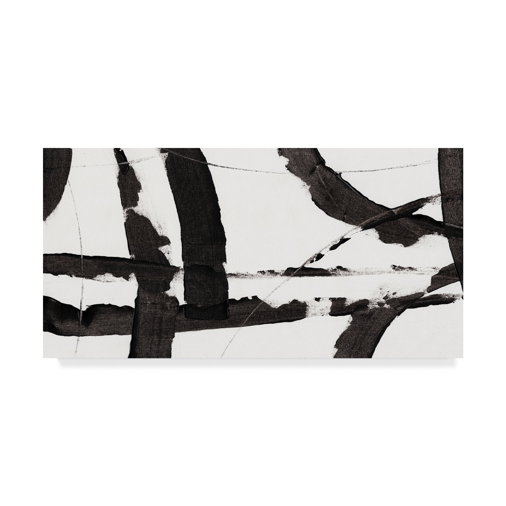 Trademark Fine Art 'Obsidian Harmony I' Canvas Art by Tim OToole
