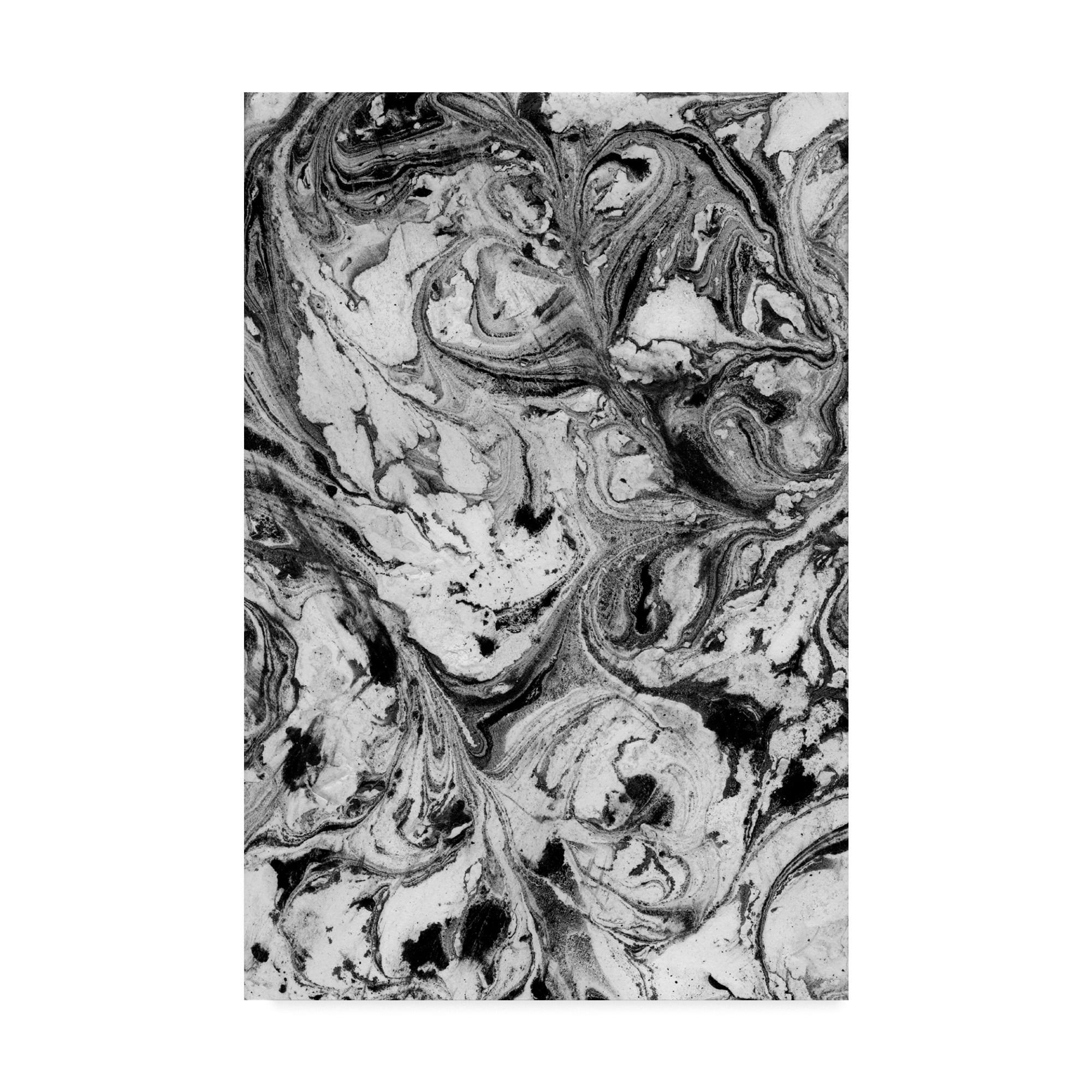 Trademark Fine Art 'Obsidian I' Canvas Art by Jenna Guthrie