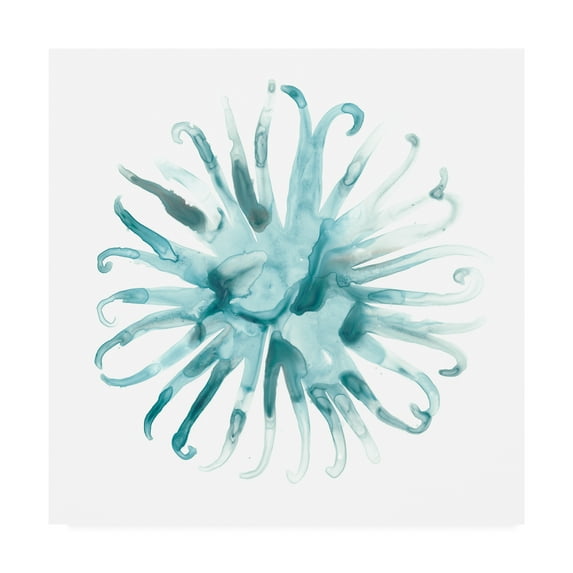 Trademark Fine Art 'Ocean Cameo II' Canvas Art by June Erica Vess