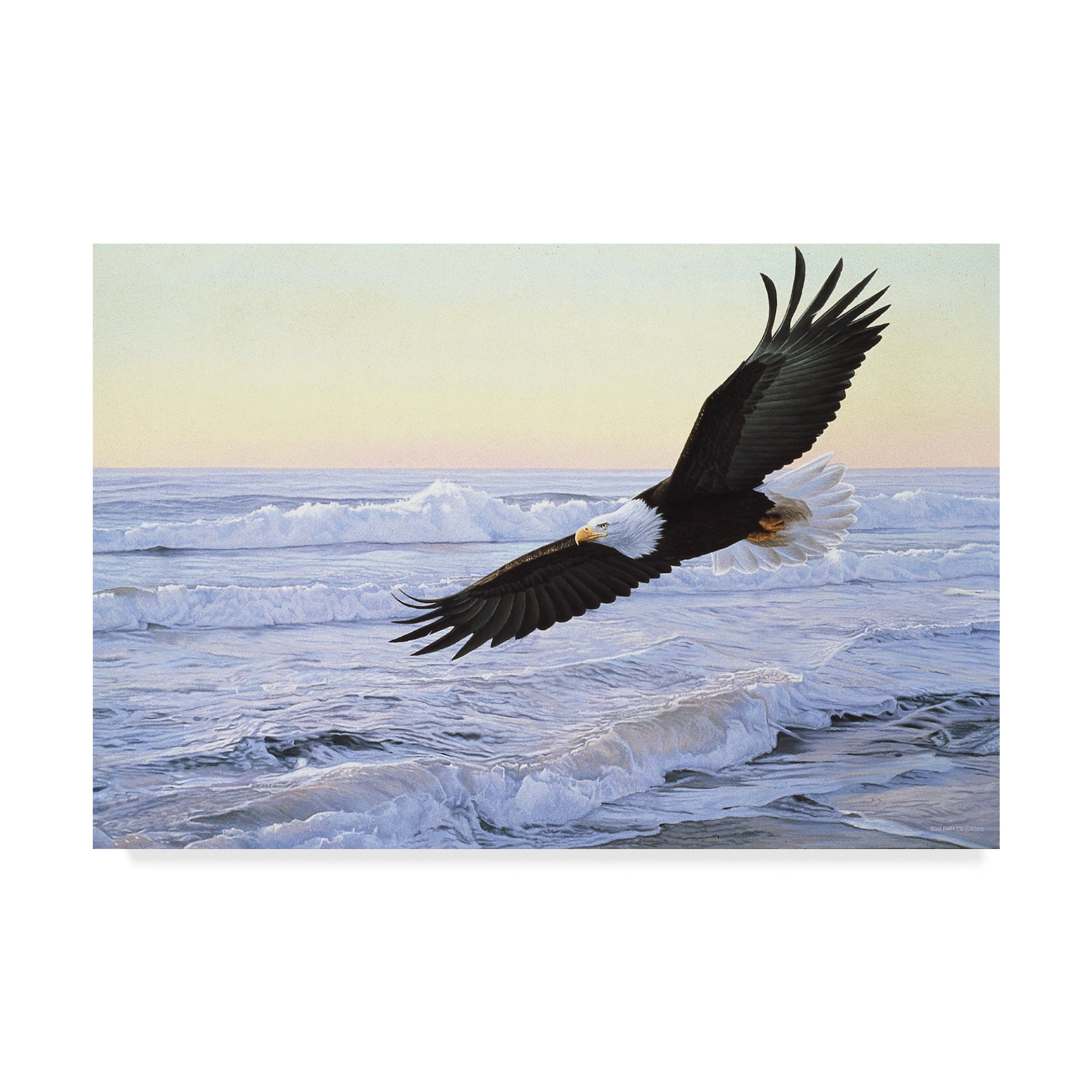 Trademark Fine Art 'Ocean Dawn Eagle' Canvas Art by Ron Parker